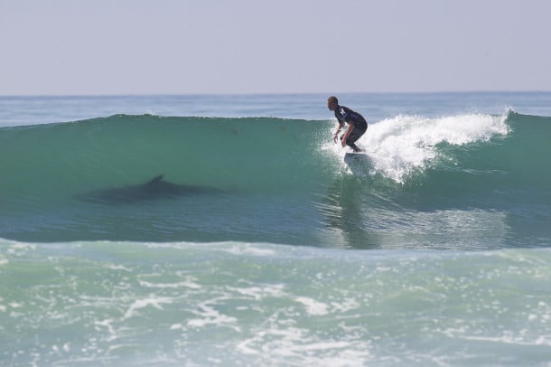 Surf Lesson Santa Cruz by Club Ed Surf School and Camps