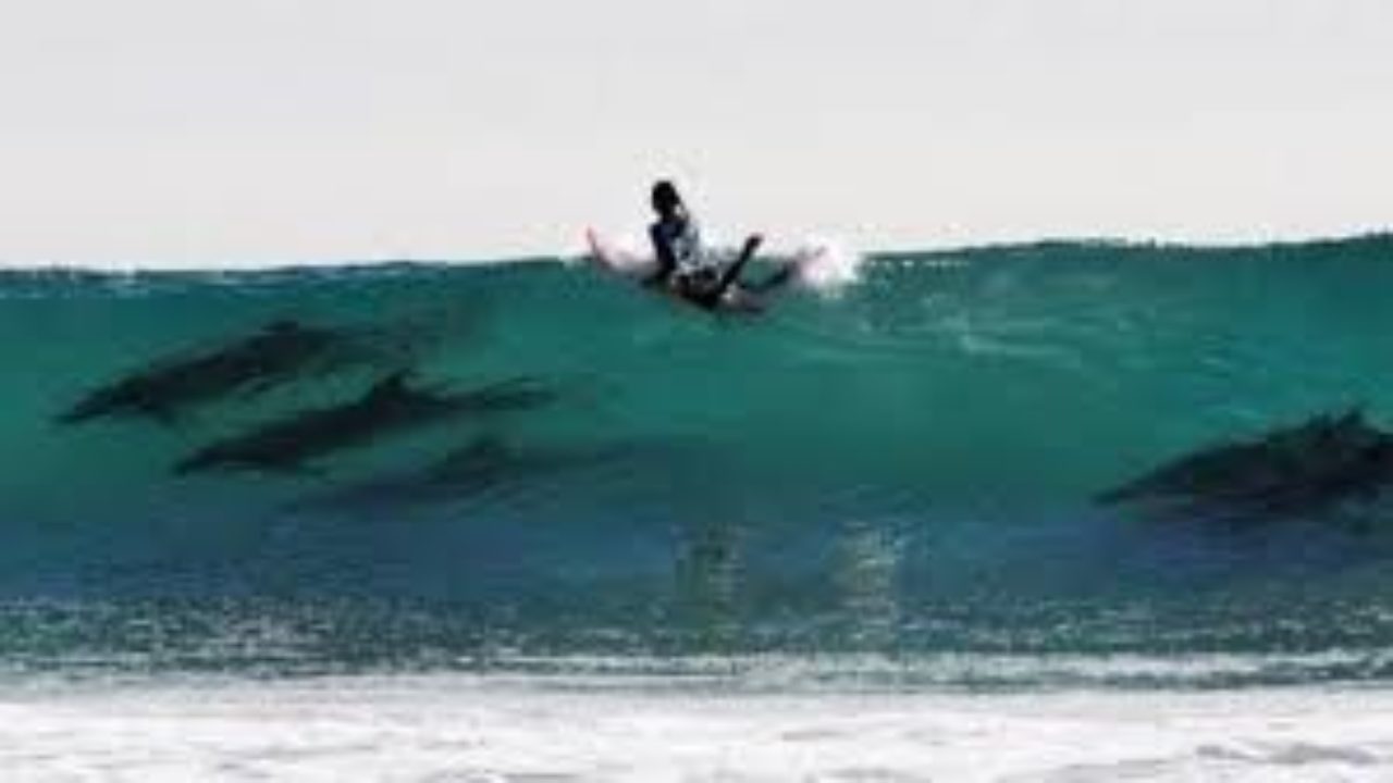 Surf Lessons Why Early In The Am Club Ed Surf School