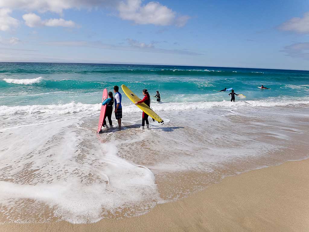 How Important is a Surf School in Santa Cruz