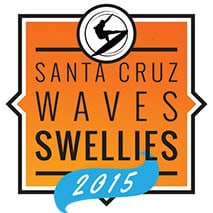 Santa Cruz Waves Swellies