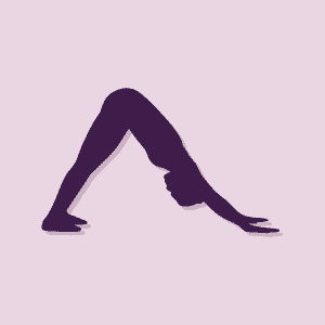 Yoga pose demonstrated - downward facing dog.